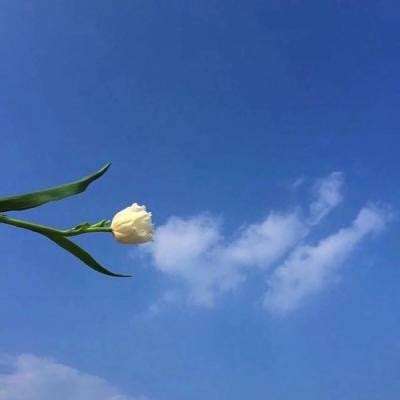 战舰联盟之舰娘出击游戏下载