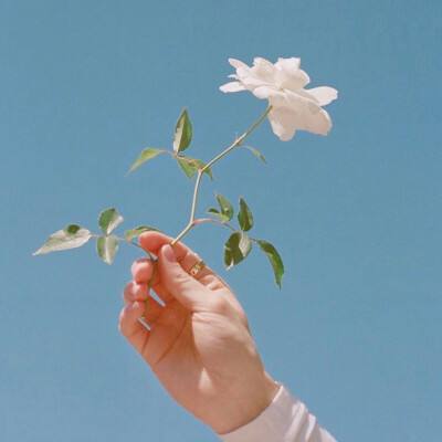 星之召唤士手游九游版下载