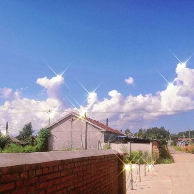 放开那妹子手游下载