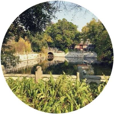 天使幻想纪元手游(暂未上线)v1.0 安卓版